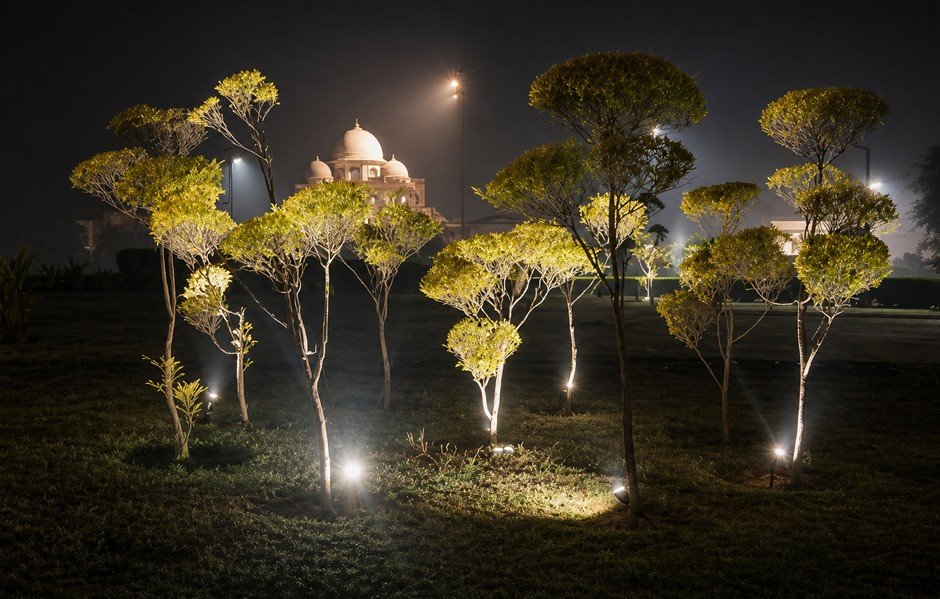 Landscape Lights